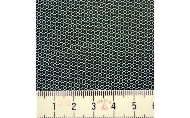 Moskitonetz Tarantula 6 Moskitonetz Tarantula – Bild 4