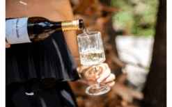 Berger Weinglas 2er Set 8 Berger Weinglas 2er Set -Geschäft Für Campingausrüstung 594239 4331207