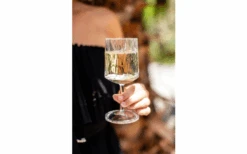 Berger Weinglas 2er Set 9 Berger Weinglas 2er Set -Geschäft Für Campingausrüstung 690069 4697631